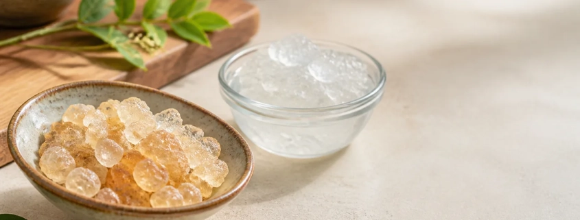รังนกหิมะ Gum Karaya แบบแห้งในชามและแบบพองหลังแช่น้ำ